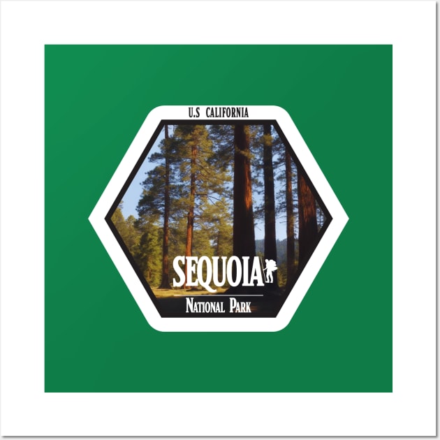 Sequoia Sparkle Wall Art by Alexander Luminova